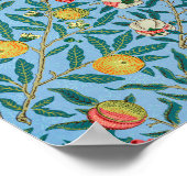 Morris - Four Fruits Poster (Hoek)