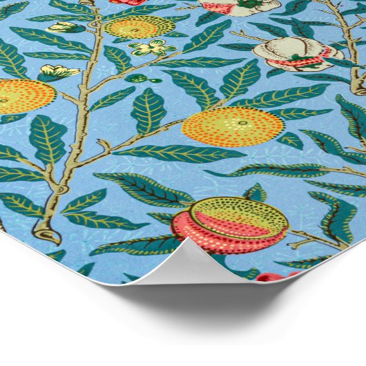 Morris - Four Fruits Poster (Hoek)