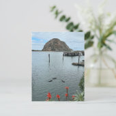 Morro Bay Rock met Otters Briefkaart (Staand voorkant)