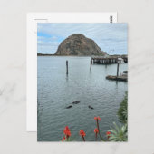 Morro Bay Rock met Otters Briefkaart (Voorkant / Achterkant)