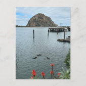 Morro Bay Rock met Otters Briefkaart (Voorkant)