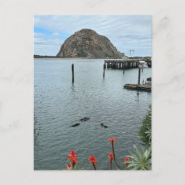 Morro Bay Rock met Otters Briefkaart