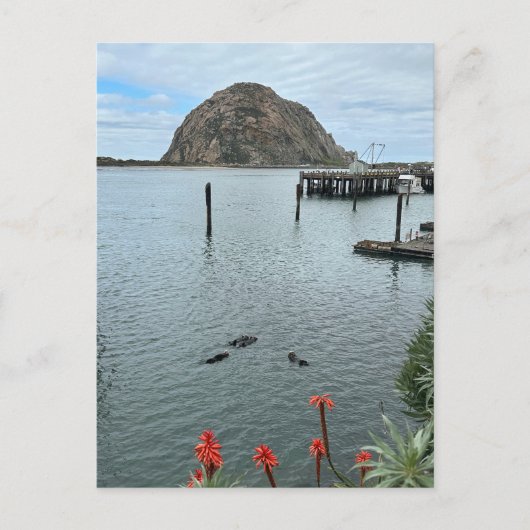 Morro Bay Rock met Otters Briefkaart (Voorkant)
