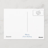 Morro Bay Travel Postcard Briefkaart (Achterkant)