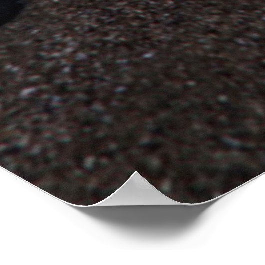 Morro Rock reflecterend in natte zand Poster (Hoek)