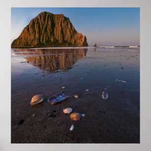 Morro Rock Weerspiegeld in Nat Zand Poster
