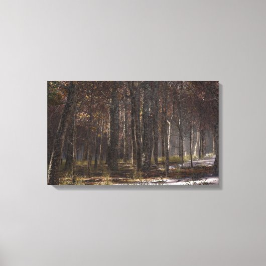 Morrow Grove Canvas Afdruk (Voorkant)