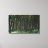 Morrow Grove (voorjaar) Canvas Afdruk (Voorkant)