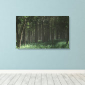 Morrow Grove (voorjaar) Canvas Afdruk (Insitu (Houten vloer))