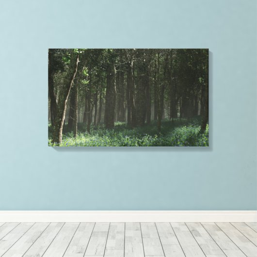 Morrow Grove (voorjaar) Canvas Afdruk (Insitu (Houten vloer))