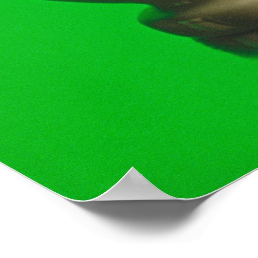 Mortar en pestle poster (Hoek)