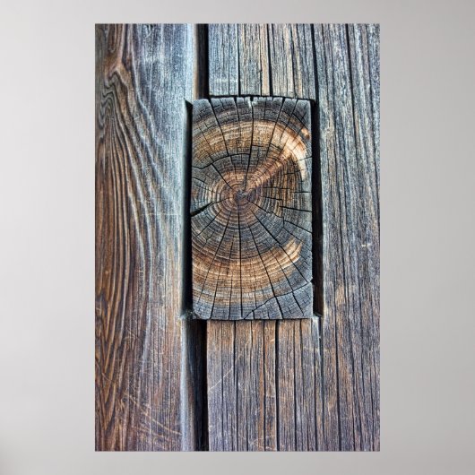 MORTISE EN TENON JOINT OF ANTIQUITY - JAPAN POSTER (Voorkant)