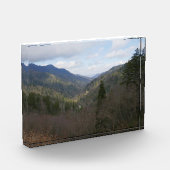 Morton Overlook at Great Smoky Mountains Fotoblokken (Links)