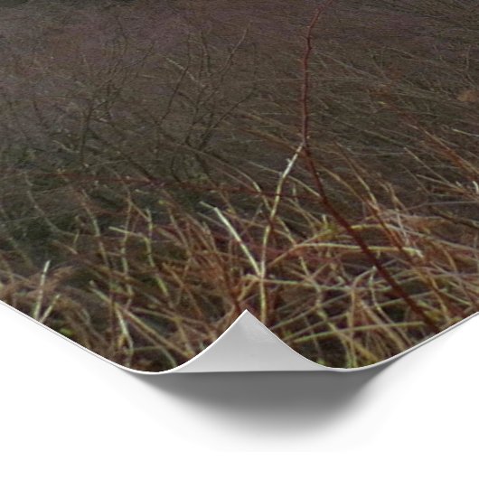 Morton Overlook at Great Smoky Mountains Poster (Hoek)