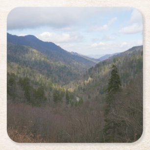Morton Overlook in Great Smoky Mountains Kartonnen Onderzetters