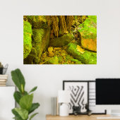 Mos en Steen – Hongaarse Watervallen, Boven schier Poster (Thuiskantoor)