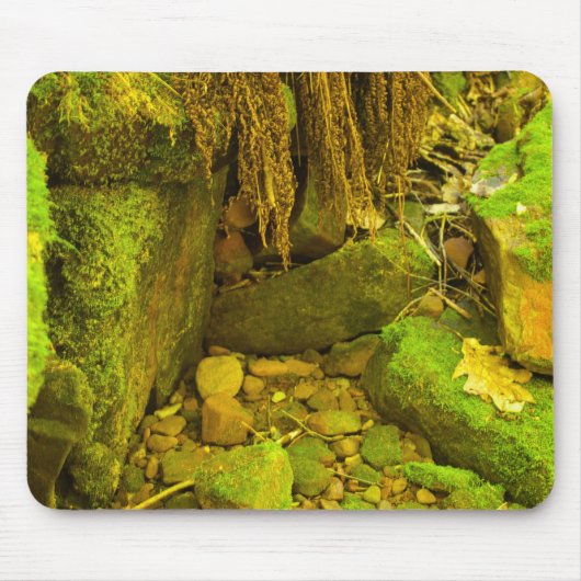 Mos en Steen – Hongaarse Watervallen, Upper Penins Muismat (Voorkant)