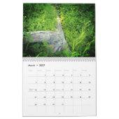 Mos & Paddenstoelen Goblincore Kalender (Mar 2027)