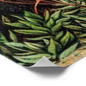  Mos Planten Muscinae door Ernst Haeckel Poster (Hoek)