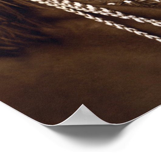 Mosa - Een Mojave-vrouw - Inheemse Amerikaanse arc Poster (Hoek)