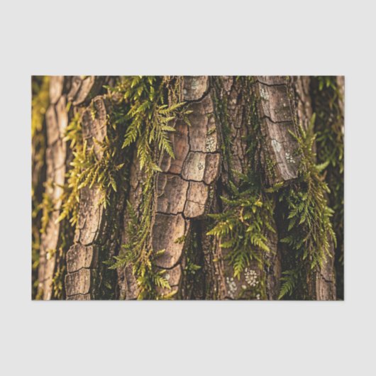 Mosachtige Boomstam Bos Textuur Tissuepapier (Voorkant)