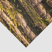 Mosachtige Boomstam Bos Textuur Tissuepapier (Detail)