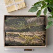 Mosachtige Boomstam Bos Textuur Tissuepapier (Geschenk)
