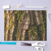 Mosachtige Boomstam Bos Textuur Tissuepapier (Craft)
