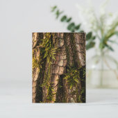 Mosachtige Boomstam Bosstructuur  Briefkaart (Staand voorkant)
