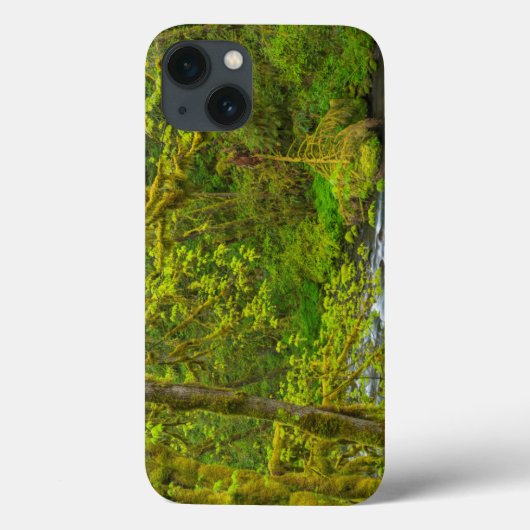 Mosachtige rotsen en bomen omzomen Eagle Creek Case-Mate iPhone Case (Achterkant)