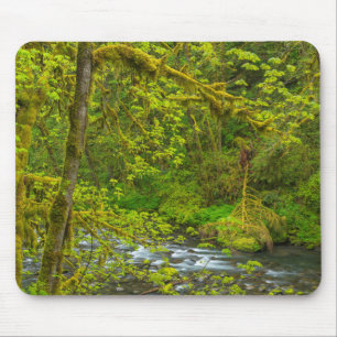Mosachtige rotsen en bomen omzomen Eagle Creek Muismat