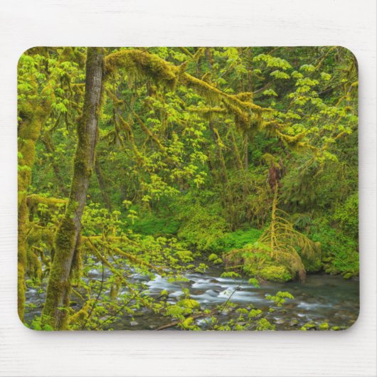 Mosachtige rotsen en bomen omzomen Eagle Creek Muismat (Voorkant)
