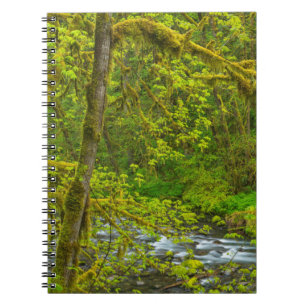 Mosachtige rotsen en bomen omzomen Eagle Creek Notitieboek