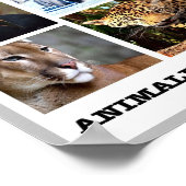 Mosaic Animales Argentinos - Poster (Hoek)
