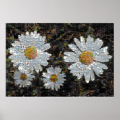 Mosaic Daisies 10 Poster (Voorkant)