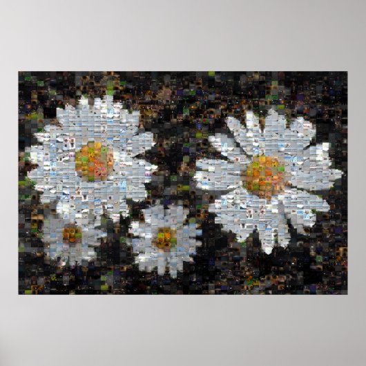 Mosaic Daisies 10 Poster (Voorkant)