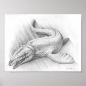 Mosasaur, koning van het Zee, Post Poster (Voorkant)