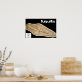 Mosasaur Skull in Matrix Poster (Keuken)
