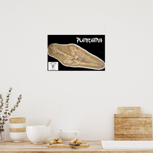 Mosasaur Skull in Matrix Poster (Keuken)