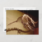 Mosasaur - "Zee Lizard" Briefkaart (Voorkant / Achterkant)