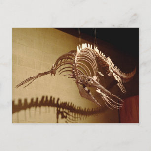 Mosasaur - "Zee Lizard" Briefkaart