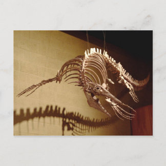 Mosasaur - "Zee Lizard" Briefkaart