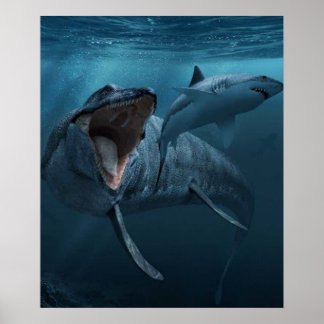 Mosasaurus achtervolgde haai poster