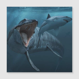 Mosasaurus die haaienfoto's achtervolgt