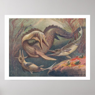  Mosasaurus vs. Ichthyosaurus Print