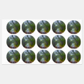 Mosbos Labels (Vel)