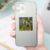 Mosbos Sticker (Telefoon)