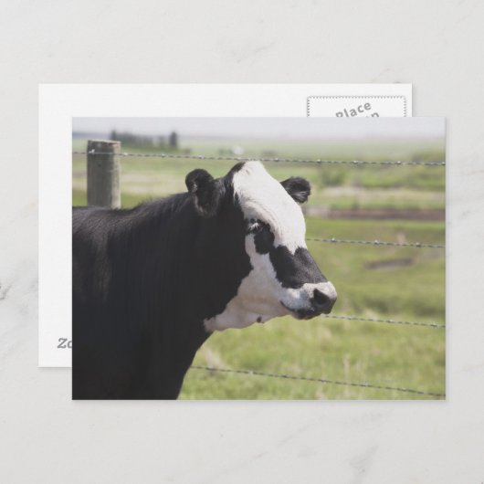 Moseleigh, Alberta, Canada Briefkaart (Voorkant / Achterkant)