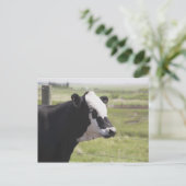 Moseleigh, Alberta, Canada Briefkaart (Staand voorkant)