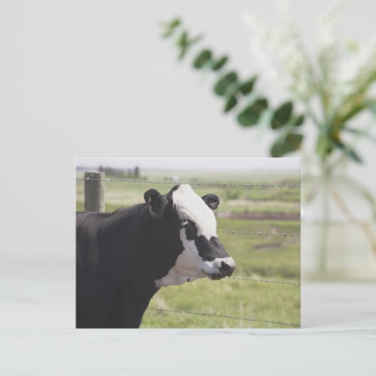 Moseleigh, Alberta, Canada Briefkaart (Staand voorkant)